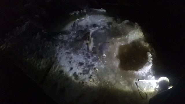 ловля наваги на удочку наживка корюшка