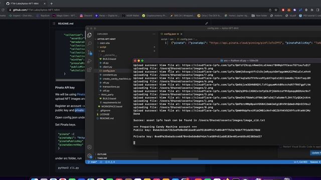 Aptos launch NFT Tutorial By FTM Labs смотреть онлайн