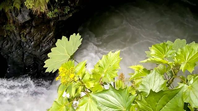 Быстро Посмотрите! Это Видео Невозможно Объяснить #2 смотреть онлайн