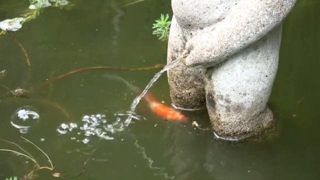 Расслабляющая музыка природы