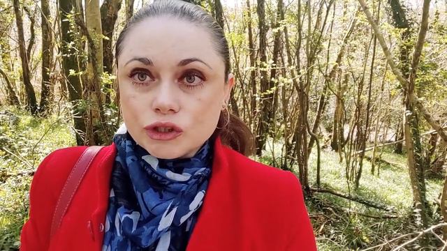 Немного о перверсиях и безусловной любви! смотреть онлайн