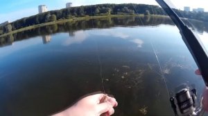Летняя рыбалка с кивком на мормышку.