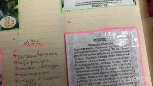 Сажаем флоксы на рассаду. Флокс красивый гном. флокс Друммонда летний микс. Часть 1.