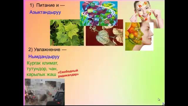 Бетти кароо негиздери 1 Б смотреть онлайн