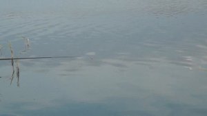 Рыбалка на поплавок ! Река подпольная !