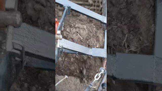 Самодельная транспортёрная  картофелекопалка на Минитрактор МТЗ 132н  осенние забавы