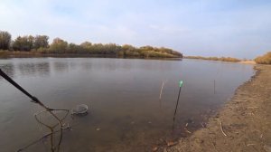 Нашли Судака. Рыбалка в Астрахани. Конец отпуска