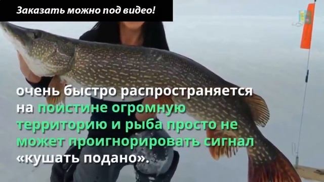 Активатор клева dry blooder официальный представитель смотреть онлайн