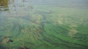 река Аксай, август 2015, рыбалка