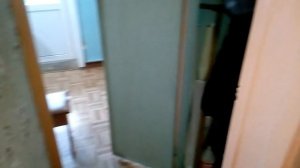 Как избавиться от шашеля.