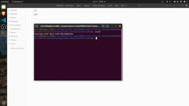 MERN Stack Course - Lecture 3 - NodeJS Project and NPM