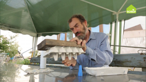 Приспособление для посадки мелких семян. Как использовать лотки для яиц повторно? Советы садовода