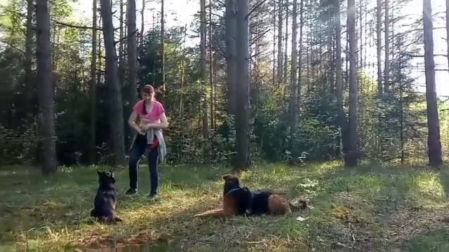 Выдержка с раздражителями