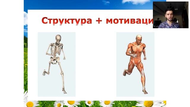 Вебинар Игоря Жабина смотреть онлайн