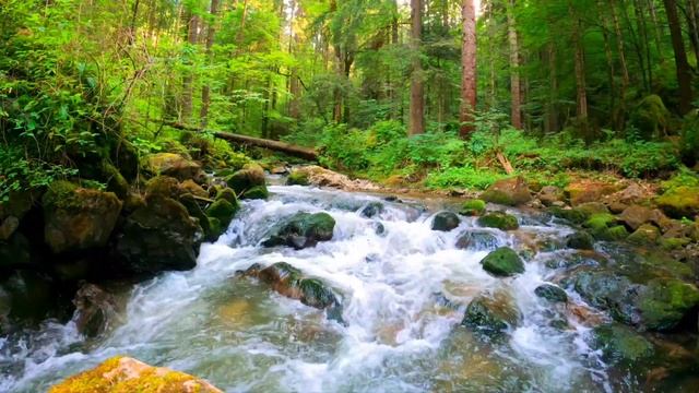 Лучшая топовая музыка для спокойного сна и медитациифортепианная музыка пианино. Music relaxing.