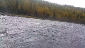 Солар 420 jet tunnel, suzuki 30 jet.По Малой Бирюсе.