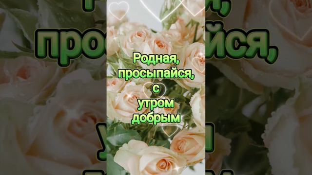 Любимая ♥️💐💋 #любовь #love #смс #видеооткрытки #любимой #доброеутро
