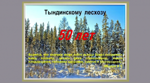 Тындинскому лесхозу - 50 лет | Выставка