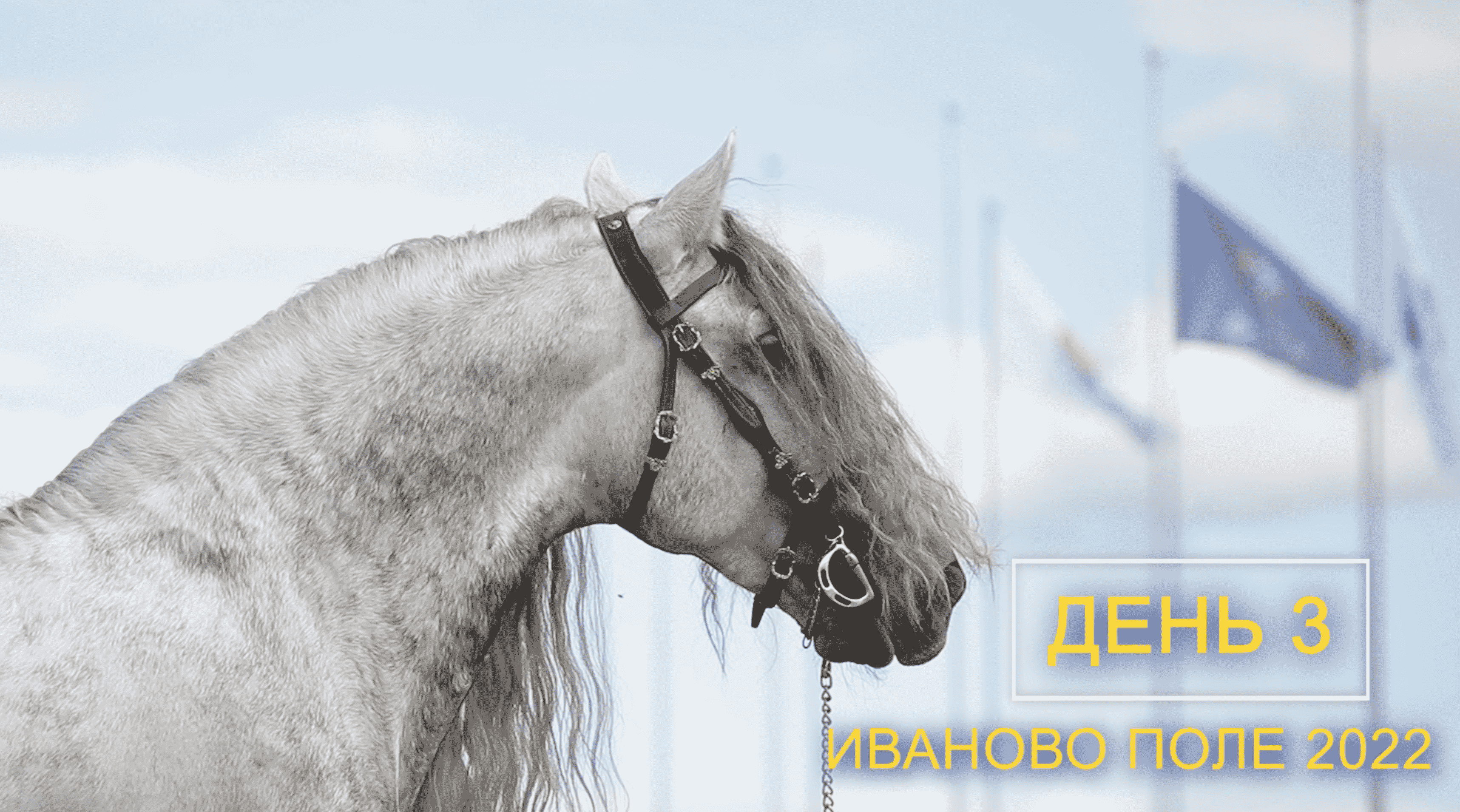 хроника фестиваля. День 3