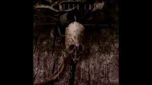 A Tergo Lupi - Petrichor
