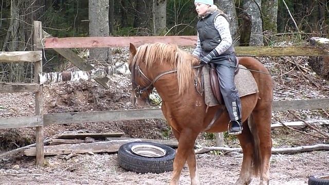 Курган - первый раз под седлом (5) смотреть онлайн