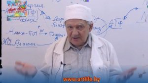 Для чего и как надо выводить мочевую кислоту Экспертное мнение биохимика @Артлайф Беларусь