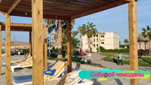 Отзыв об отеле Royal Pharaohs Makadi Bay Resort 5* (Египет, Хургада)