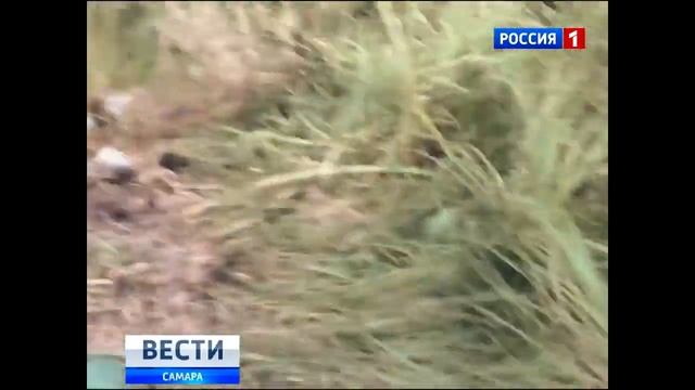 Жмышенко Валерий Альбертович-54 года