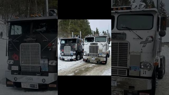 freightliner truck#trucksofinstagram#trucksofamerica#semitrucksofamerica