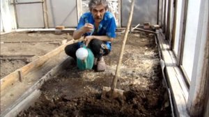 Если утоптали землю