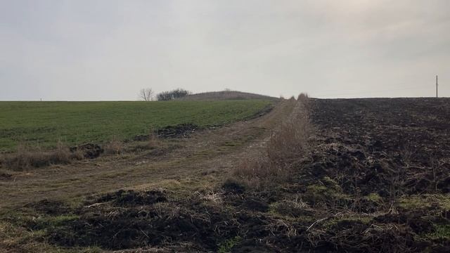 Хуторяне на рыбалке/Неважно какая/Родные места/
