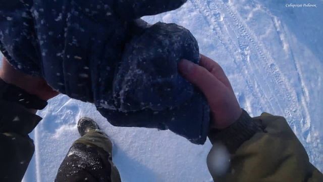 ЭТО РЫБАЛКА МЕЧТЫ! БЕШЕНЫЙ КЛЁВ и ЖОР СУДАКА на водохранилище, ловля СУДАКА на РАТТЛИНЫ смотреть онлайн