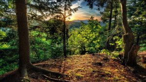 Выживание в лесу. Строительство тёплой землянки для выживания. Крыша из травы и глиняный камин