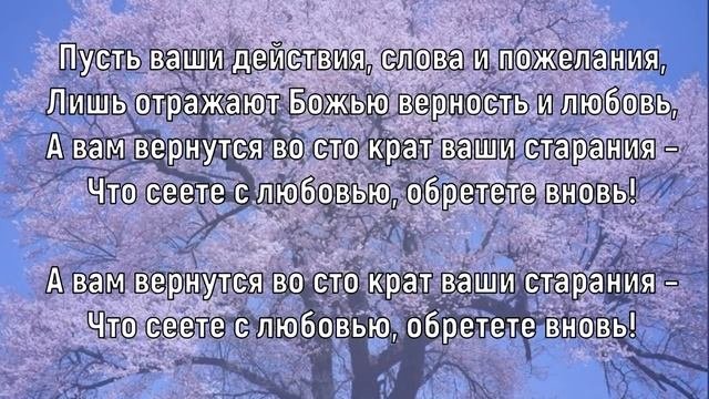Любите и будьте любимы. Елена Ваймер