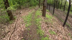 МТБ Ростов Ботанический сад. Модернизация трассы "Каньон"