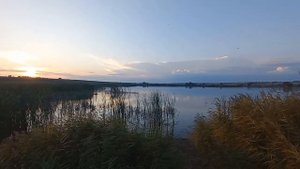 Река Елшанка Хвалынский район, Саратовская область, 16 сентября 2023