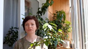 Цитрусовые новинки и дерево - сад из кумкватов.