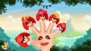 Fun Finger Family Angry Birds Song | Cake Pop Finger Family Song for Children's