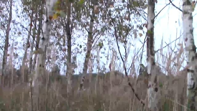 Художник в ДЕРЕВНЕ сделал для тебя ВАЖНЫЙ ВЫВОД своей ЖИЗНИ после обзора солнечного участка