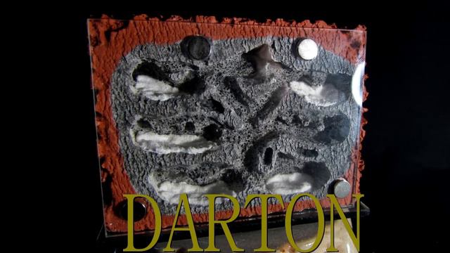 #REVIEW# NEW ANT FARM смотреть онлайн