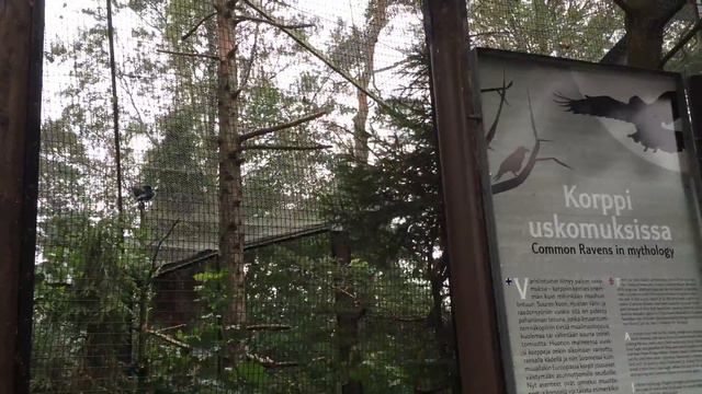 13.08.16 ЛЕТО В ФИНЛЯНДИИ)). Ребенок в перчатках :((!!! ХОЛОДНО!!! смотреть онлайн