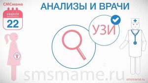 22 неделя беременности - развитие малыша, осмотр врача.