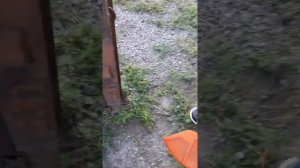 Stihl autocut 46-2