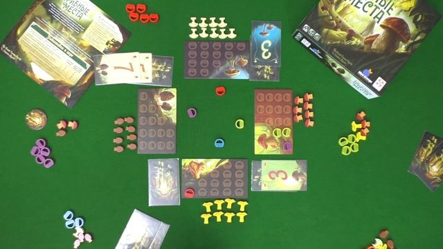 5 ХОДОВ в настольную игру "ГРИБНЫЕ МЕСТА". Правила и процесс смотреть онлайн