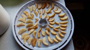 Как приготовить ВЯЛЕНЫЕ ЯБЛОКИ? Вкуснейший десерт - Вяленые Яблоки. ТопСад