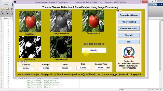 Tomato Disease Detection and Classification Using Matlab Project Code