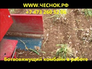Чесночный комбайн с ботвовязкой, русский чеснок, чесночная сажалка JJBROCH, чеснок, сортировка чесно