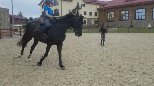 Обучение верховой езде (тренировка)