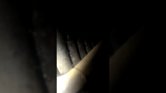 Внутри змея смотреть онлайн