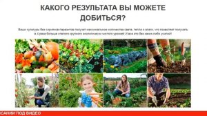 Средство для уничтожения сорняков ГРУНДОР купить, цена, отзывы. Гербицид ГРУНДОР (grundor) обзор